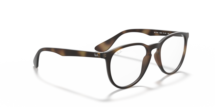 Ray Ban Erika Optics