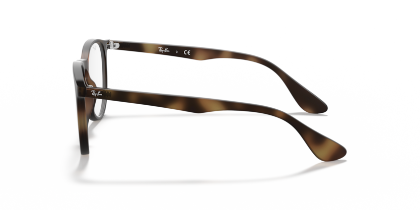 Ray Ban Erika Optics