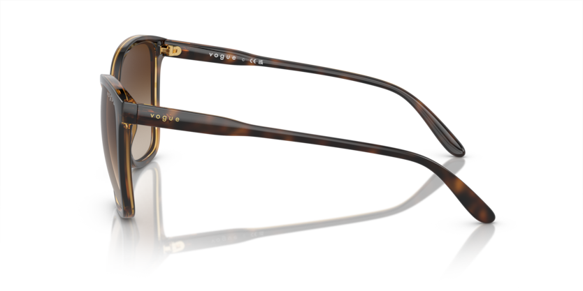 Vogue Eyewear VO5520S