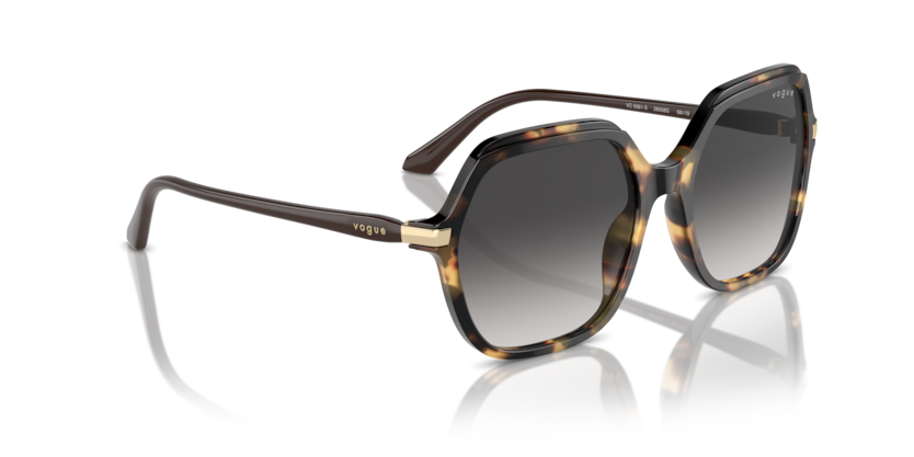 Vogue Eyewear VO5561S