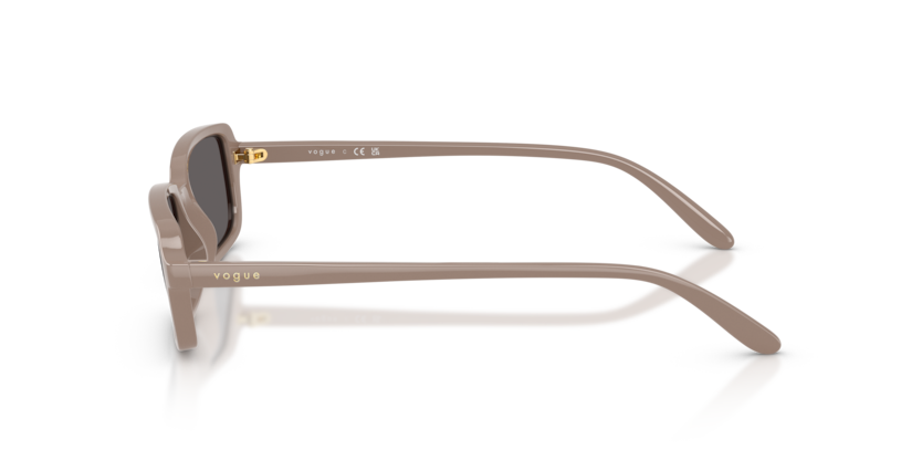 Vogue Eyewear VO5666S
