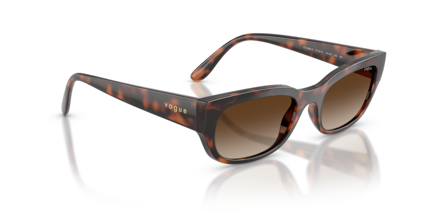 Vogue Eyewear VO5669S