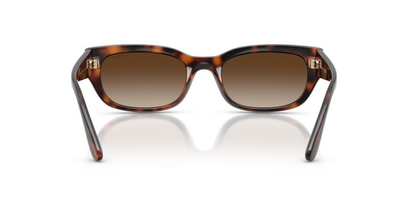 Vogue Eyewear VO5669S