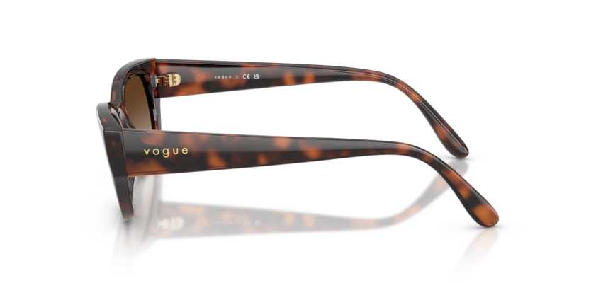 Vogue Eyewear VO5669S