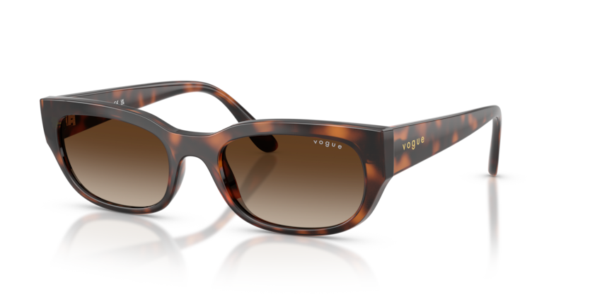 Vogue Eyewear VO5669S