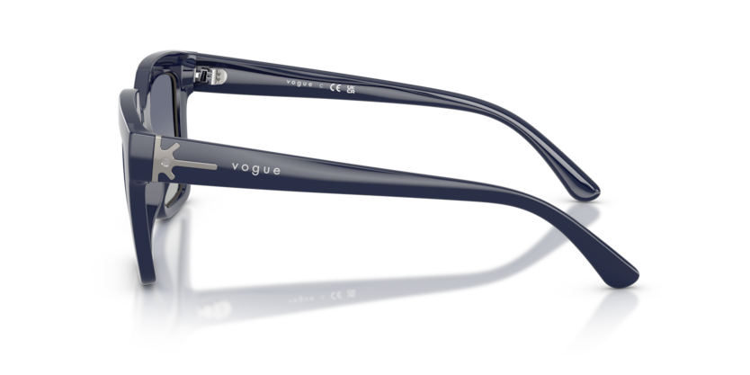 Vogue Eyewear VO5690S