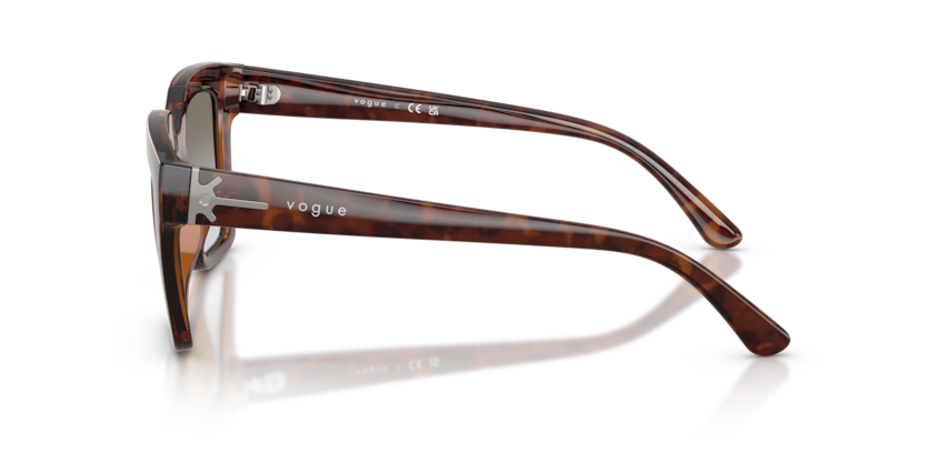 Vogue Eyewear VO5690S