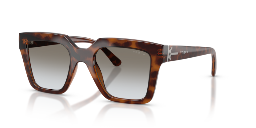 Vogue Eyewear VO5690S