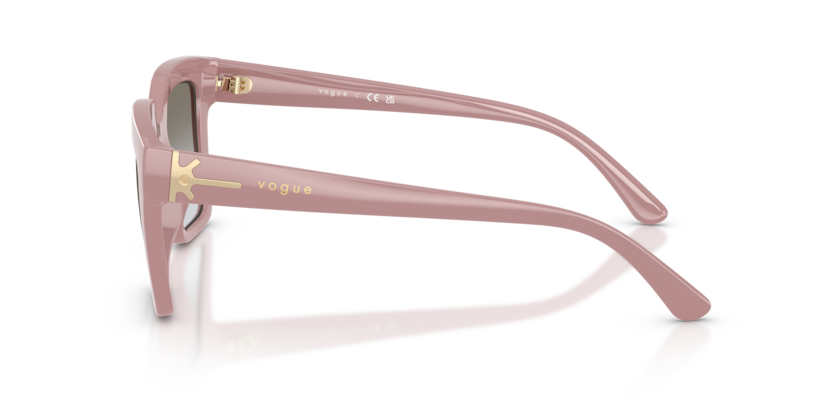 Vogue Eyewear VO5690S