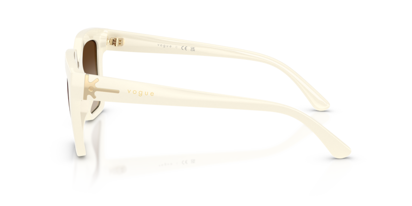 Vogue Eyewear VO5690S