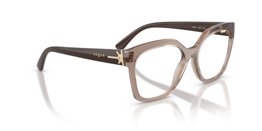 Vogue Eyewear VO5691
