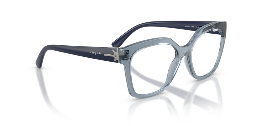 Vogue Eyewear VO5691