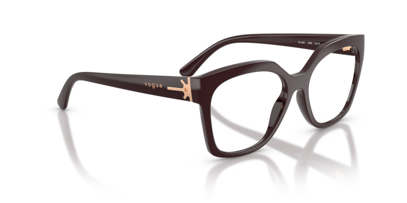 Vogue Eyewear VO5691