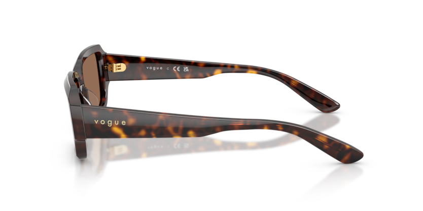 Vogue Eyewear VO5693SU
