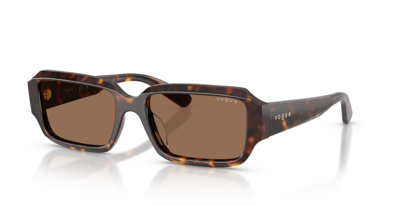 Vogue Eyewear VO5693SU