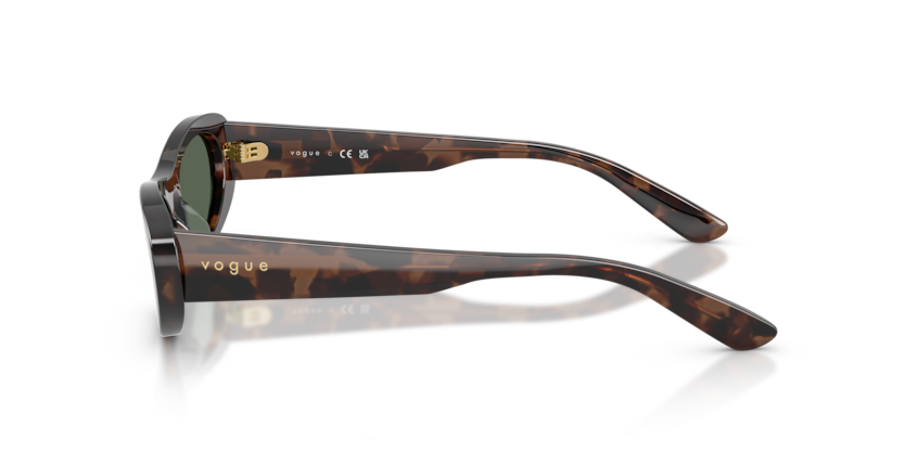 Vogue Eyewear VO5695SU
