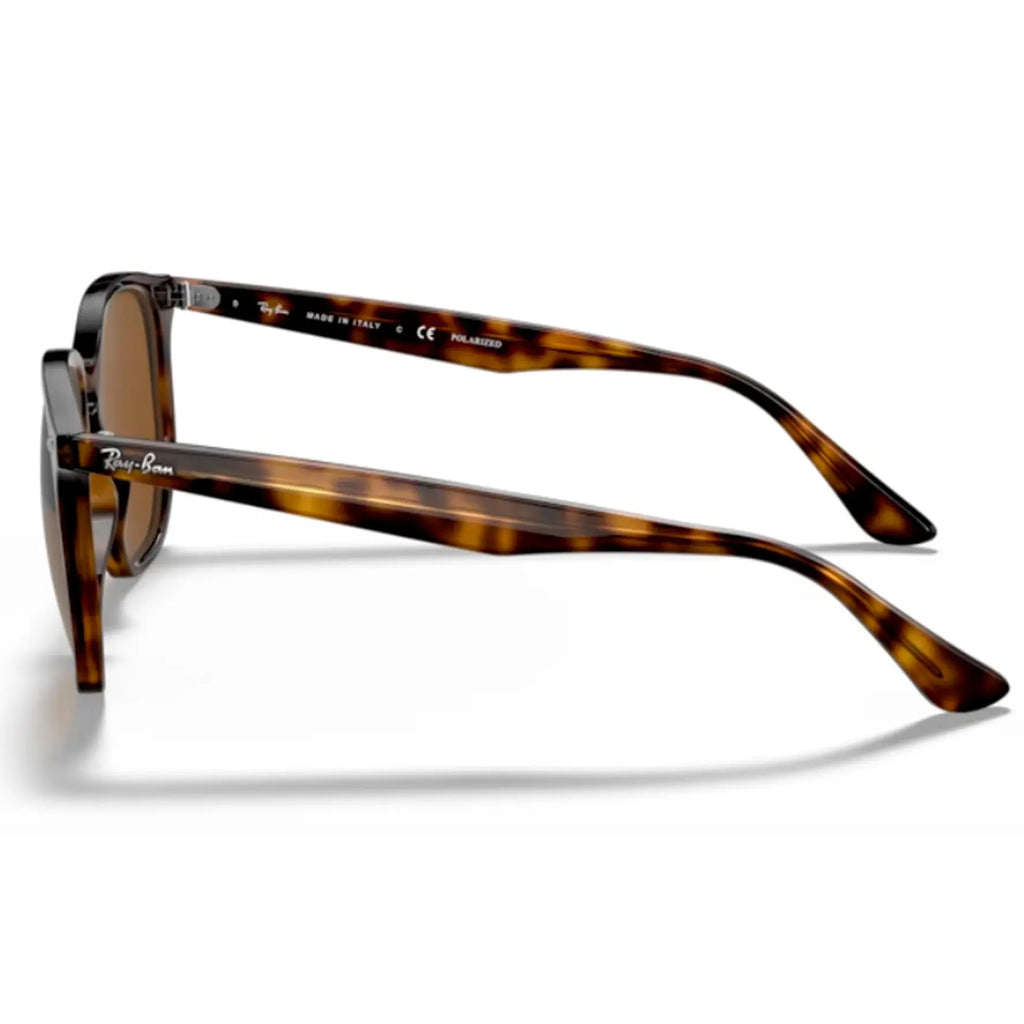 Ray Ban RB4306 710/83 Diocci
