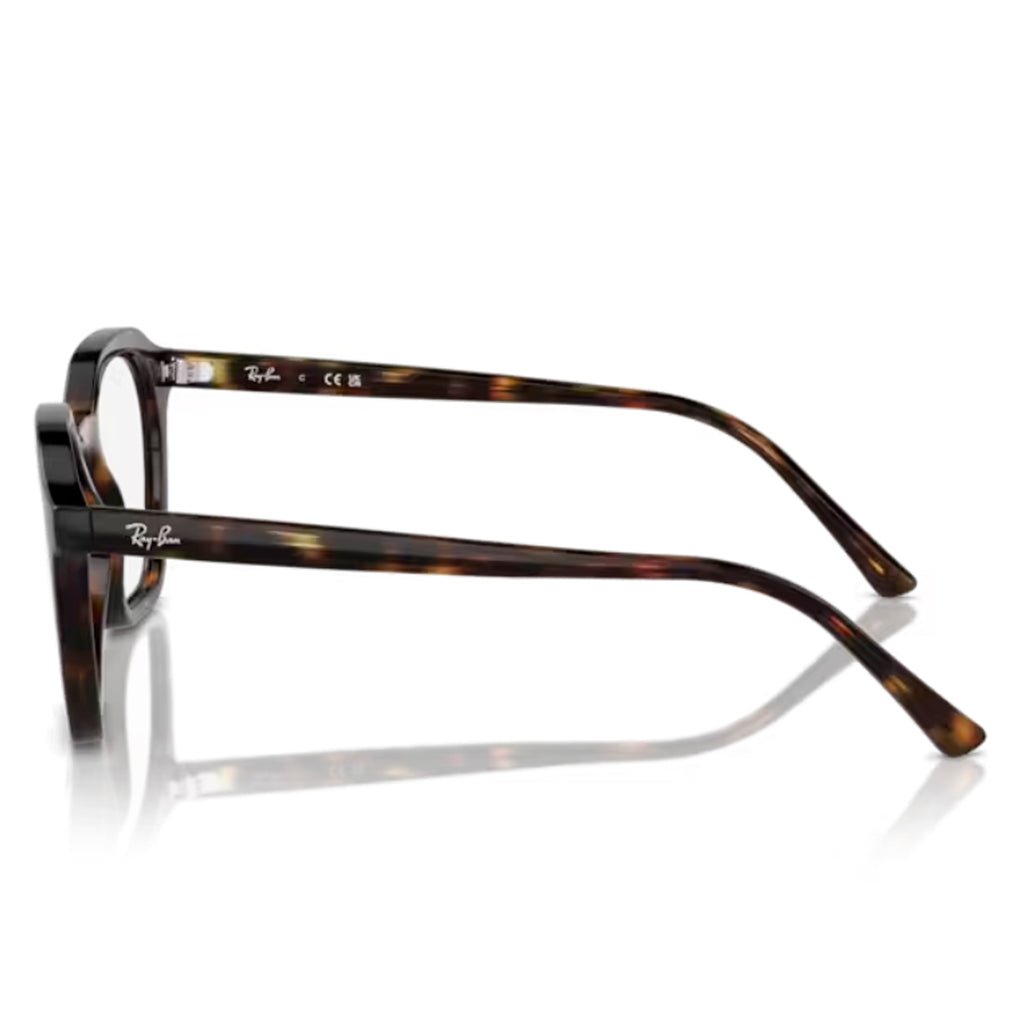 Ray Ban Alice Optics RX7238 2012