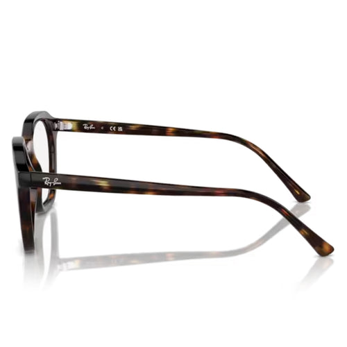 Ray Ban Alice Optics RX7238 2012