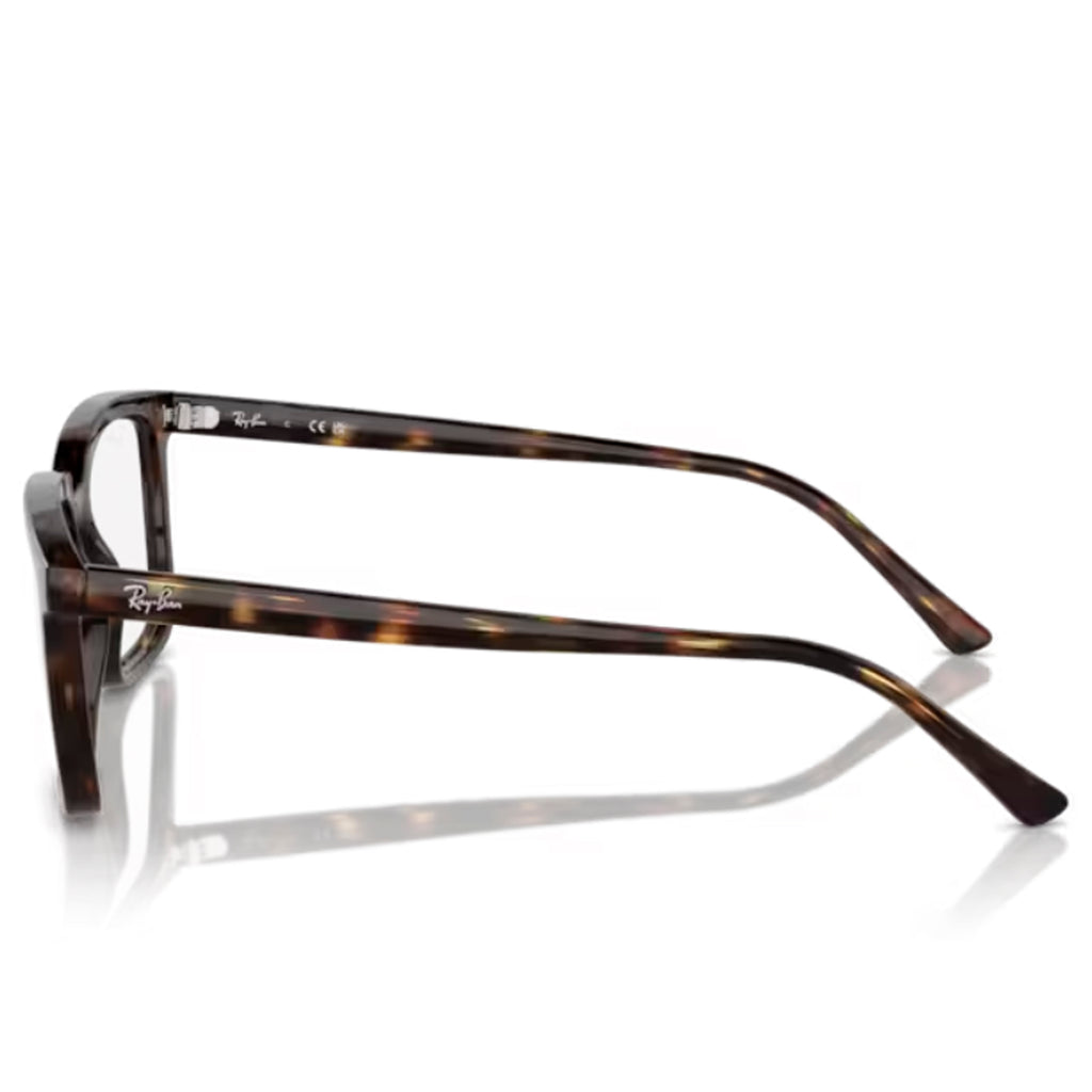 Ray Ban Alain Optics RX7239 2012