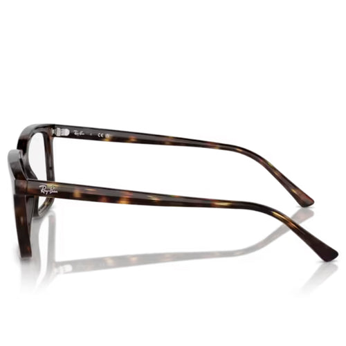 Ray Ban Alain Optics RX7239 2012