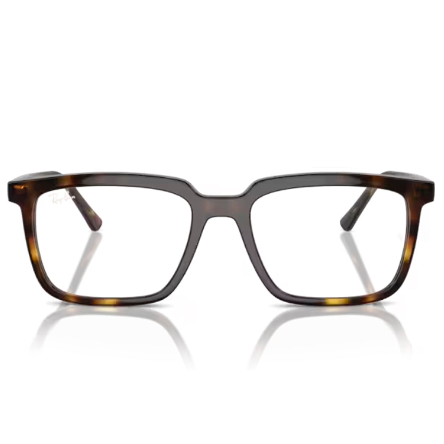 Ray Ban Alain Optics RX7239 2012