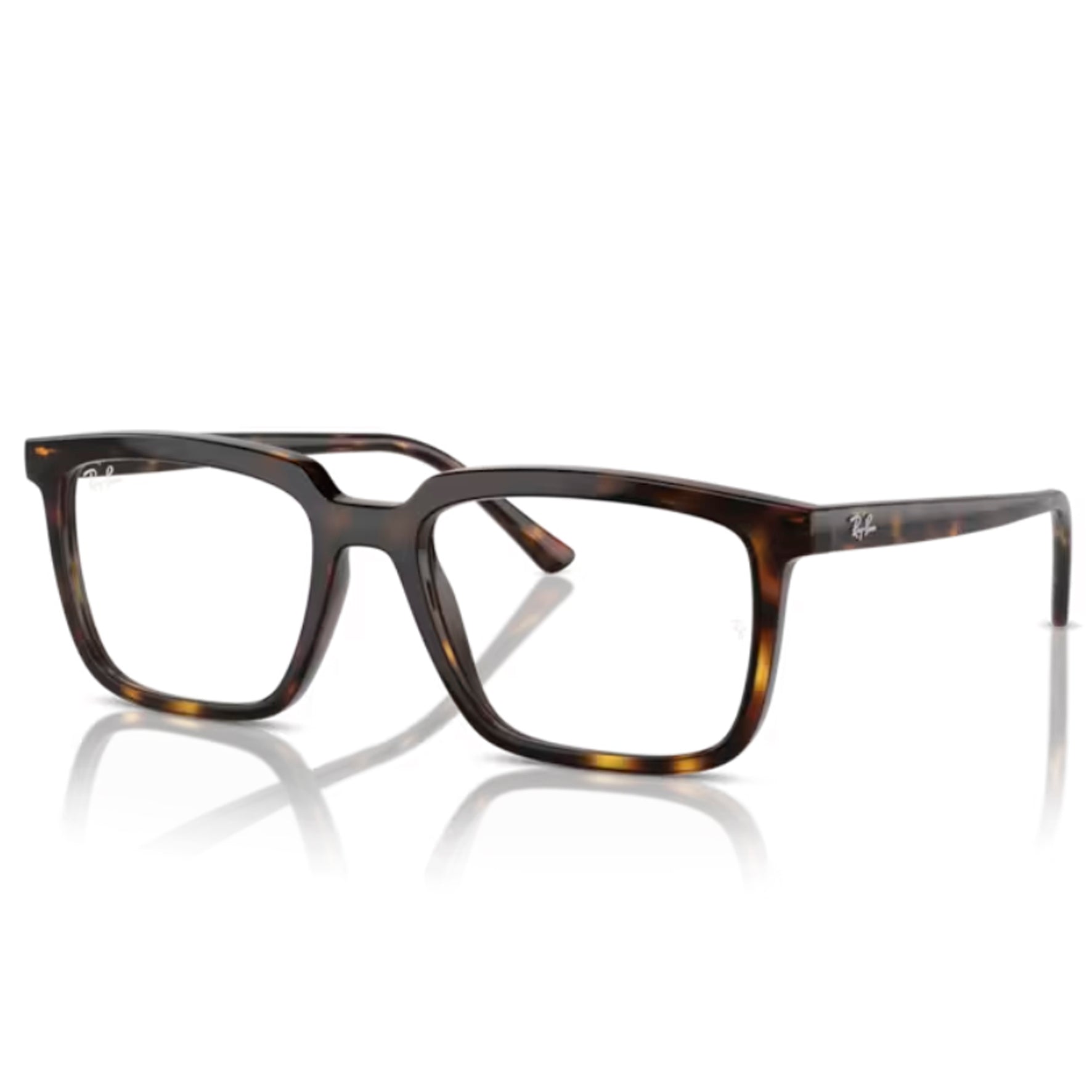 Ray Ban Alain Optics RX7239 2012